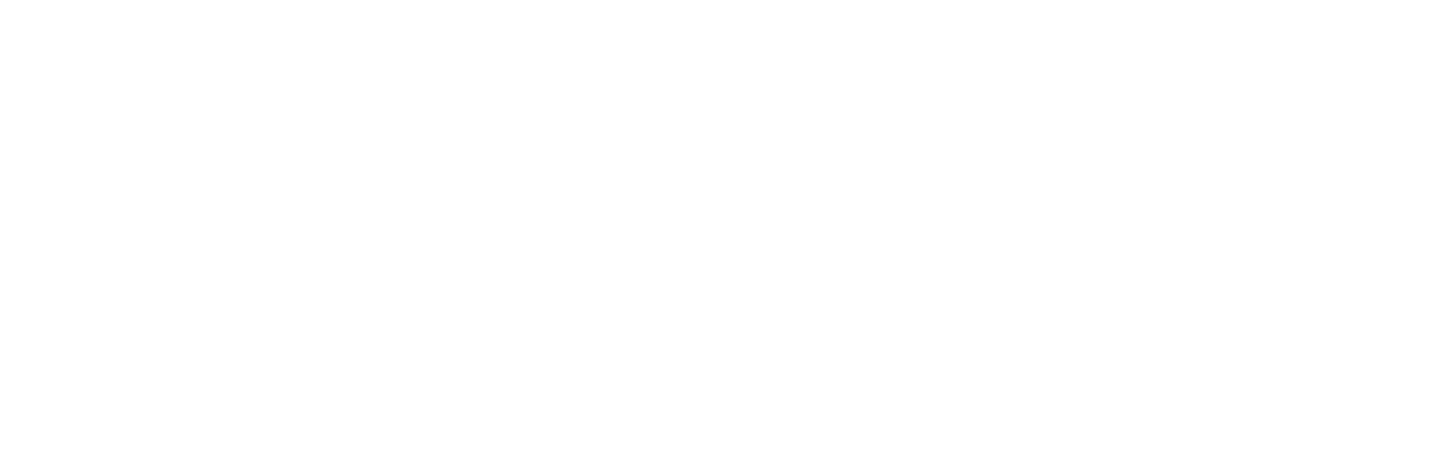 dr Waldens  Rajaguguk – Catatan Neurologi (Saraf)